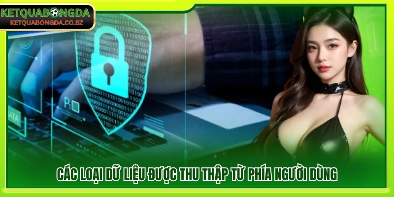 Các dạng dữ liệu được ghi nhận từ người dùng