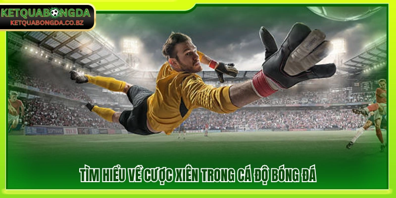 Giải thích cơ bản về kèo xiên và cách chơi