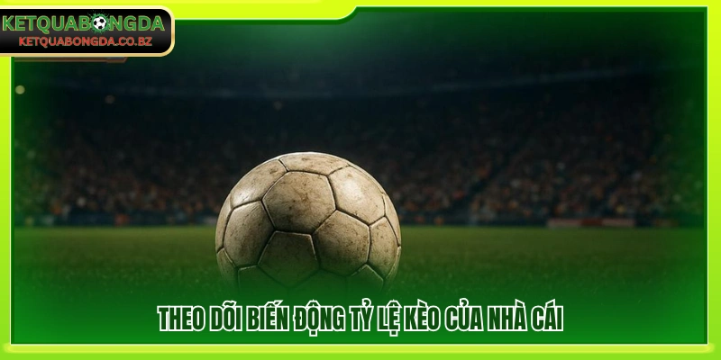 Quan sát sự thay đổi tỷ lệ cược từ nhà cái