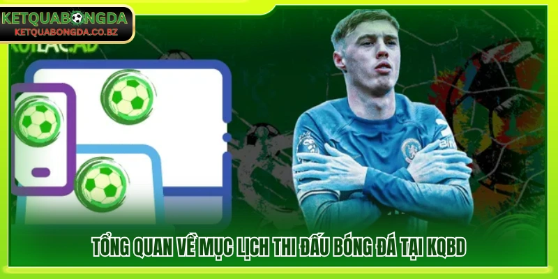 Giới thiệu chuyên mục lịch thi đấu bóng đá trên Kết quả bóng đá