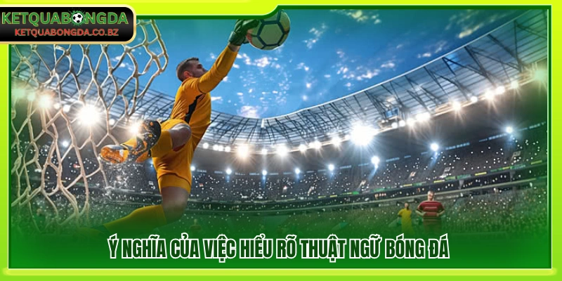 Tầm quan trọng của việc nắm rõ thuật ngữ bóng đá